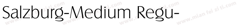 Salzburg-Medium Regu字体转换